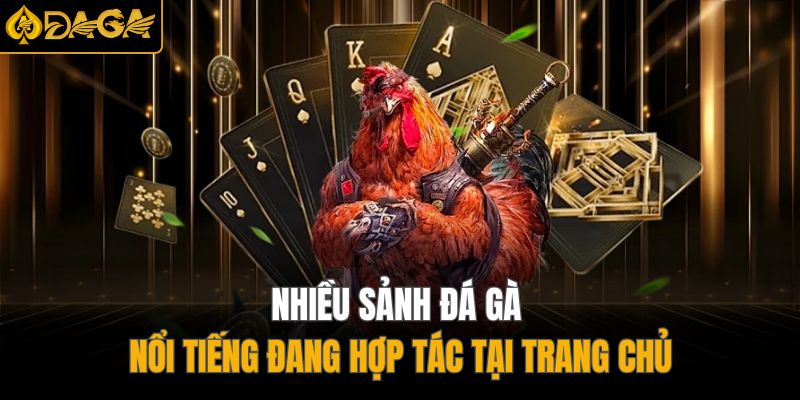 Đá Gà DAGA – Sân Chơi Cá Cược Trực Tuyến Uy Tín, Hấp Dẫn