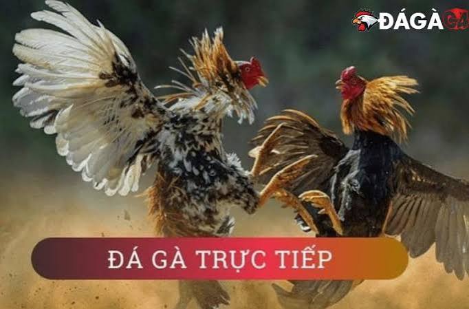 Ưu Điểm Khi Rút Tiền Xemdagagroup